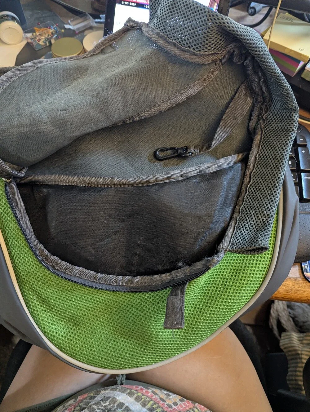 Yudodo Small Pet Carrier Would Fit Up To 10 Lbs